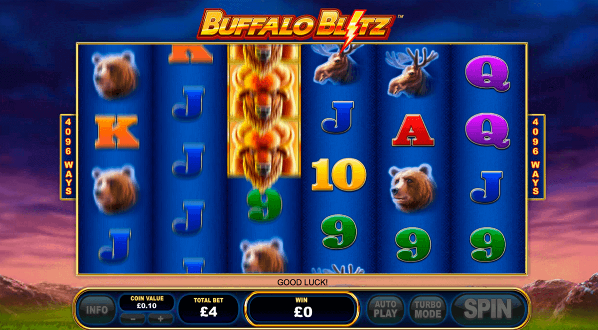 Buffalo Blitz